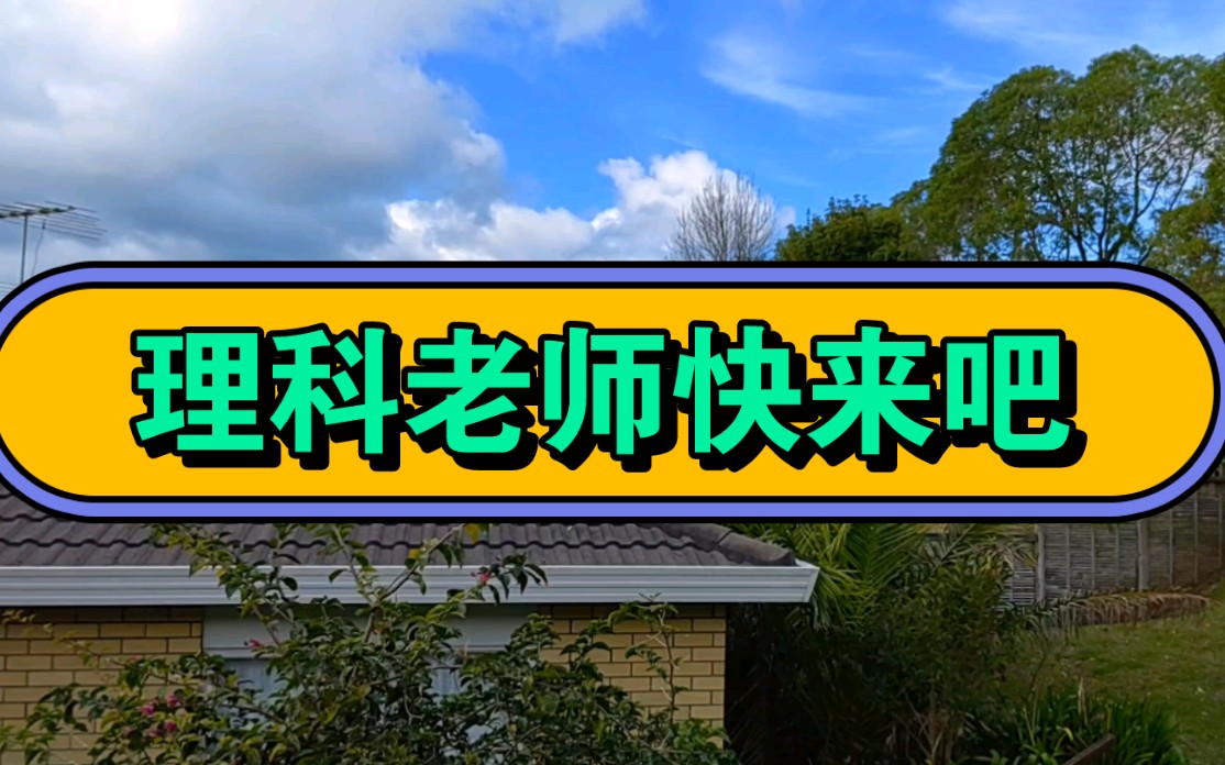 如何能去新西兰当老师哔哩哔哩bilibili