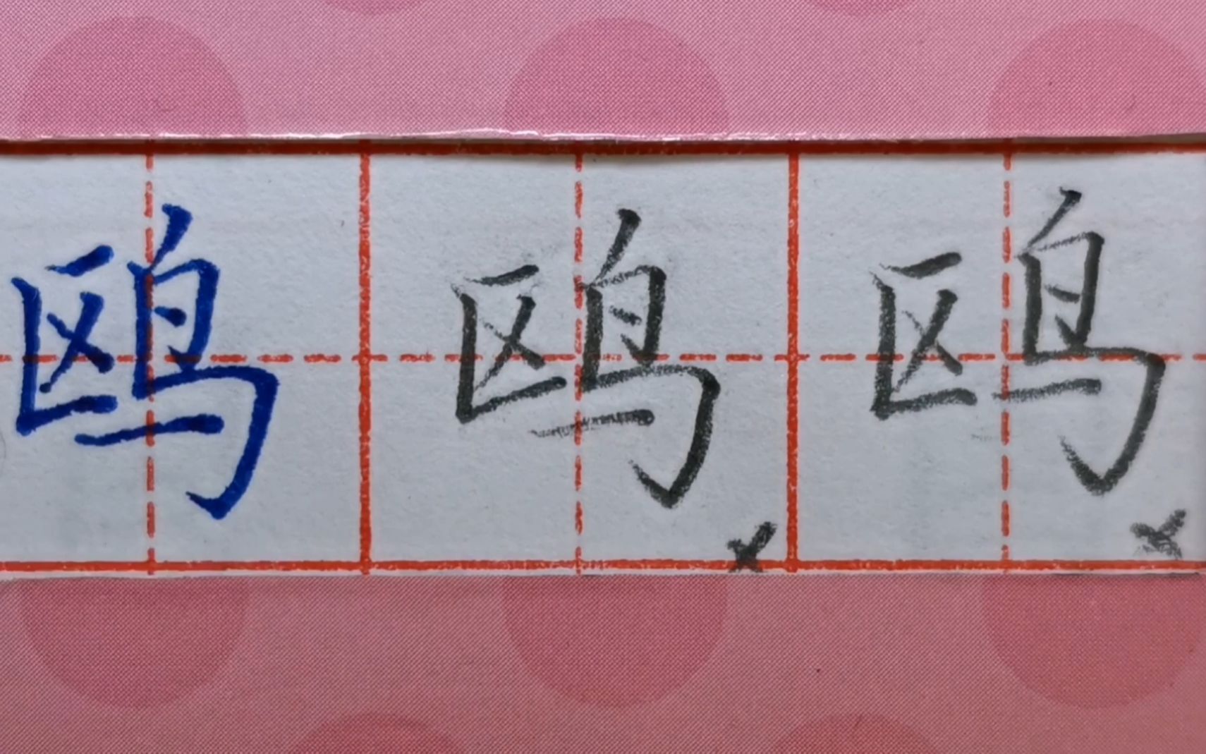 鸥字怎样写好看?鸟字旁书写是关键,干货分享哔哩哔哩bilibili