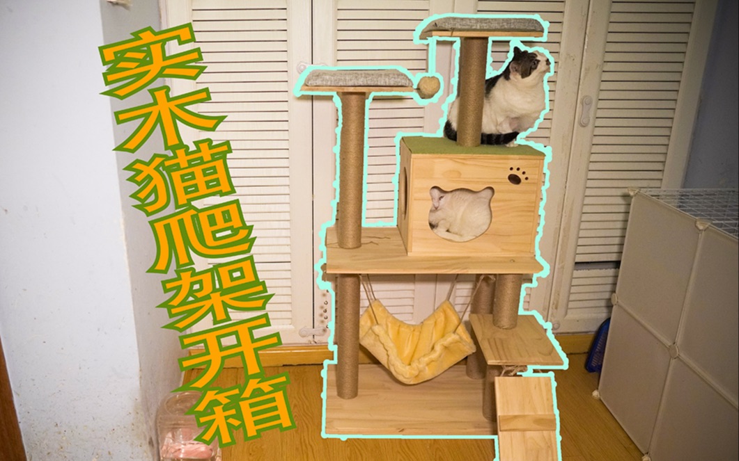 实木猫爬架开箱哔哩哔哩bilibili