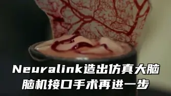 Neuralink造出仿真大脑，脑机接口手术再进一步！