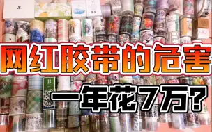 Download Video: 【吐槽】一年花7万？网红胶带的危害！手帐四年生总结的经验教训！看简介！