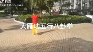宫派八卦拳-哔哩哔哩_Bilibili