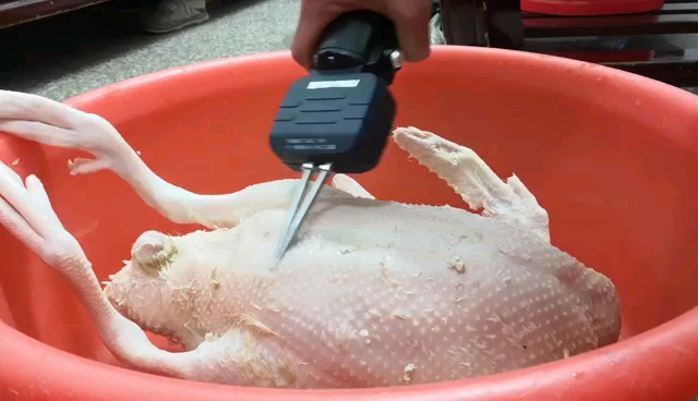 如果这个拔毛神器真管用的话那杀鸡杀鸭就方便了