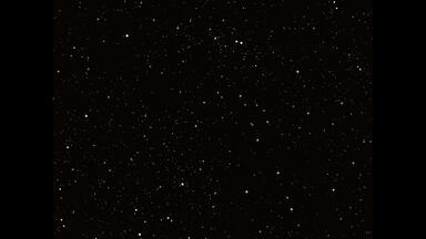 宇多田光——Utada.Hikaru.Wild.Life.2010._哔哩哔哩_bilibili
