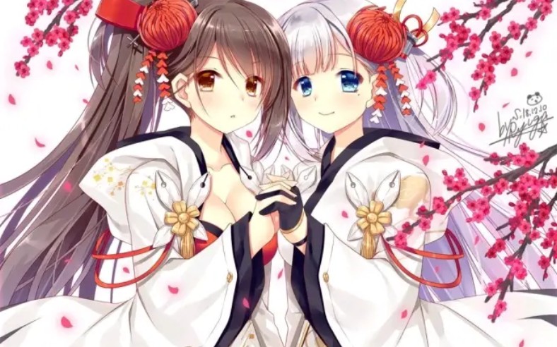 碧蓝航线双鹤姐妹