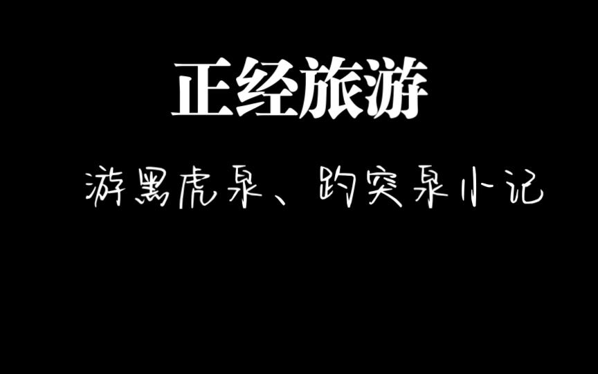 【泉城的泉】冬日济南之旅,三大著名景点之一,阴天的泉,黑虎泉、趵突泉哔哩哔哩bilibili