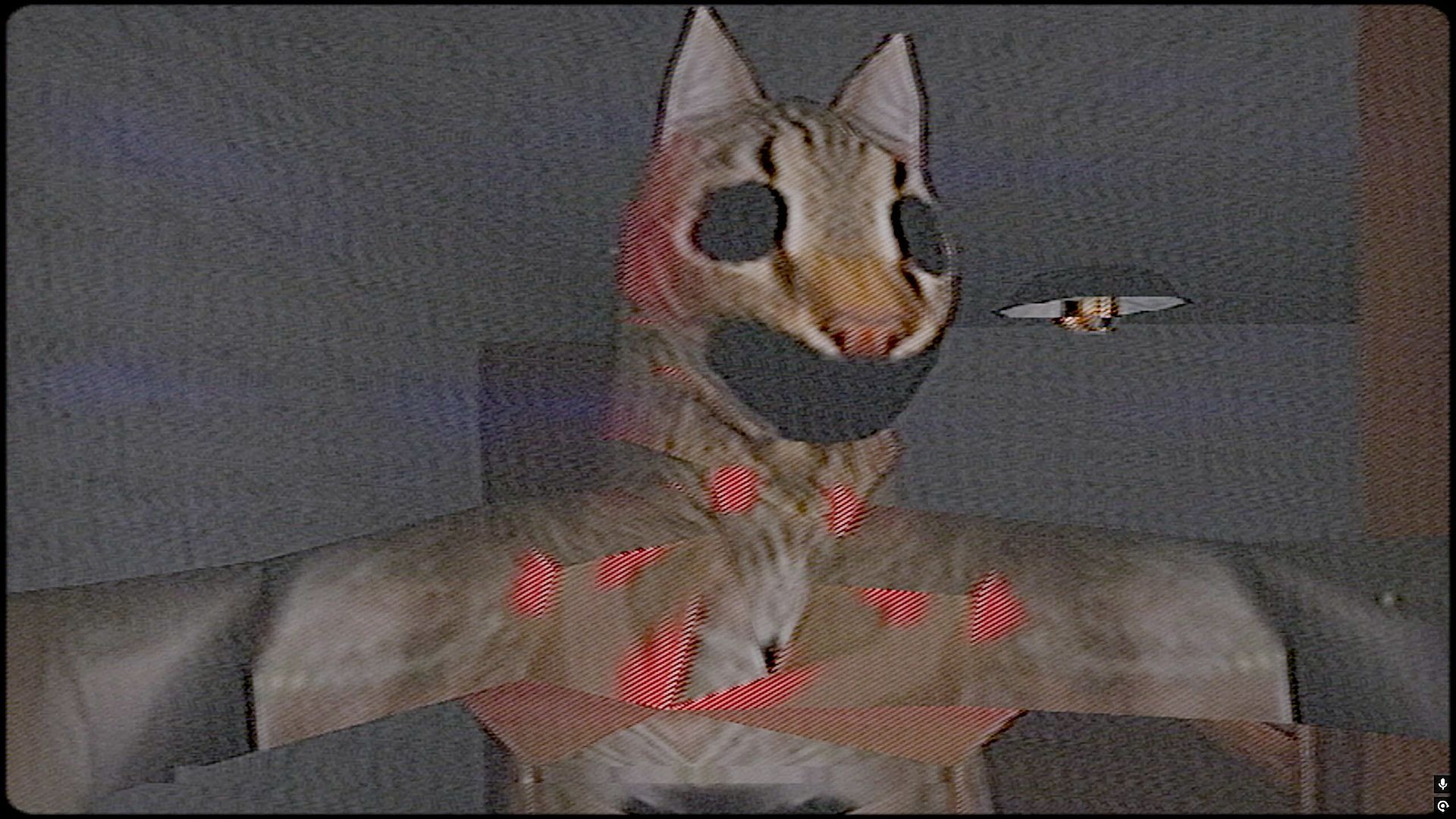 关于猫的恐怖游戏,猫咪吃了变质猫粮发生了变异《meow》