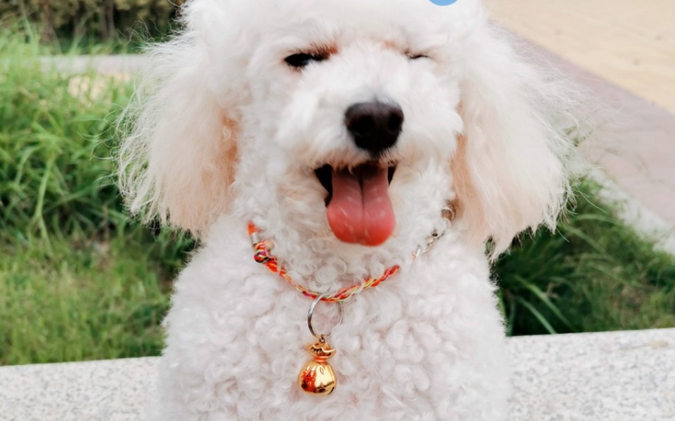 可爱小仔仔的幸福生活