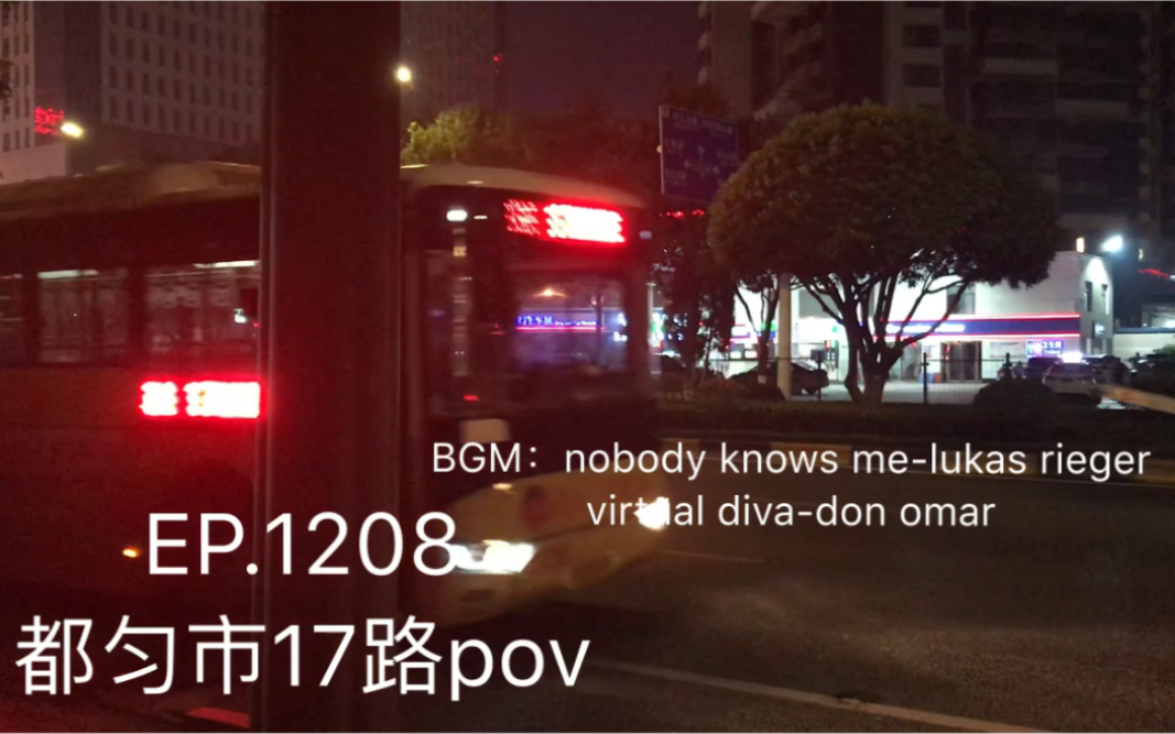 【贵州黔南州 1208】都匀市17路pov 云宫花城》》黔南电视台(区间)哔哩哔哩bilibili