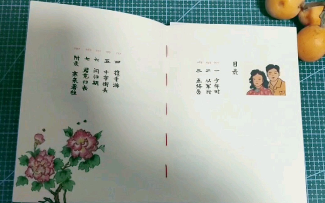 [图]图书推荐《平如美棠我俩的故事》