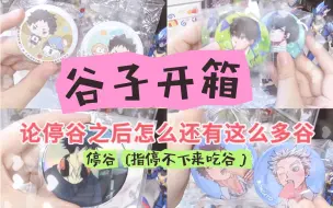 Download Video: 【gei】谷子开箱｜停谷指停不下来吃谷#77