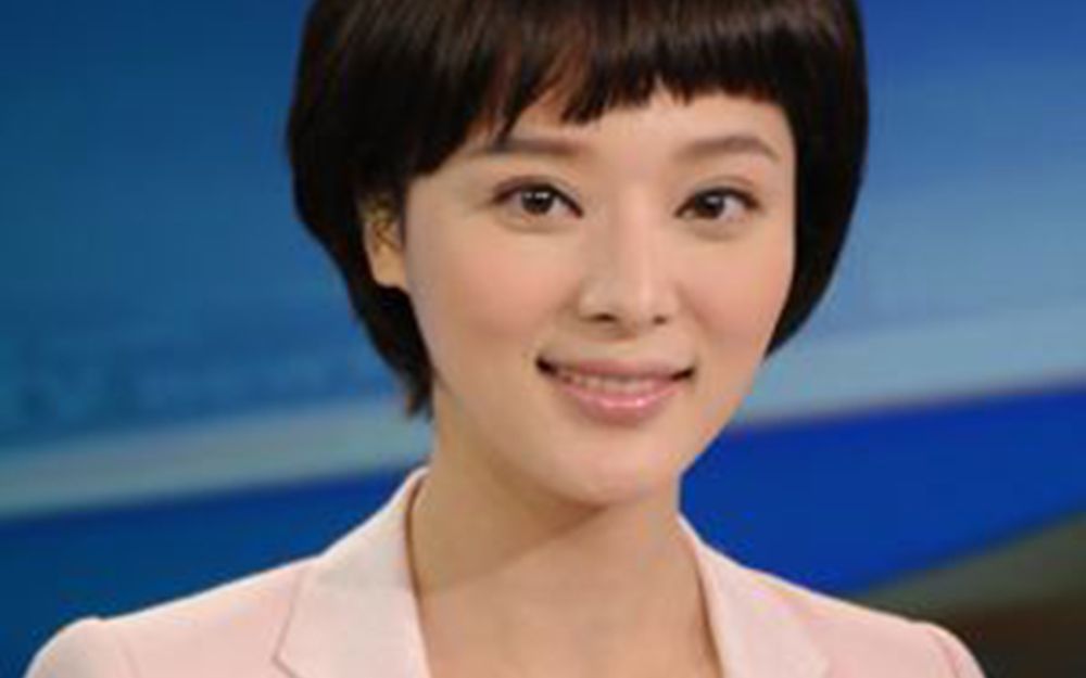 央视整容后最美主持人,如今嫁著名导演生下一子,生活幸福美满哔哩哔哩bilibili