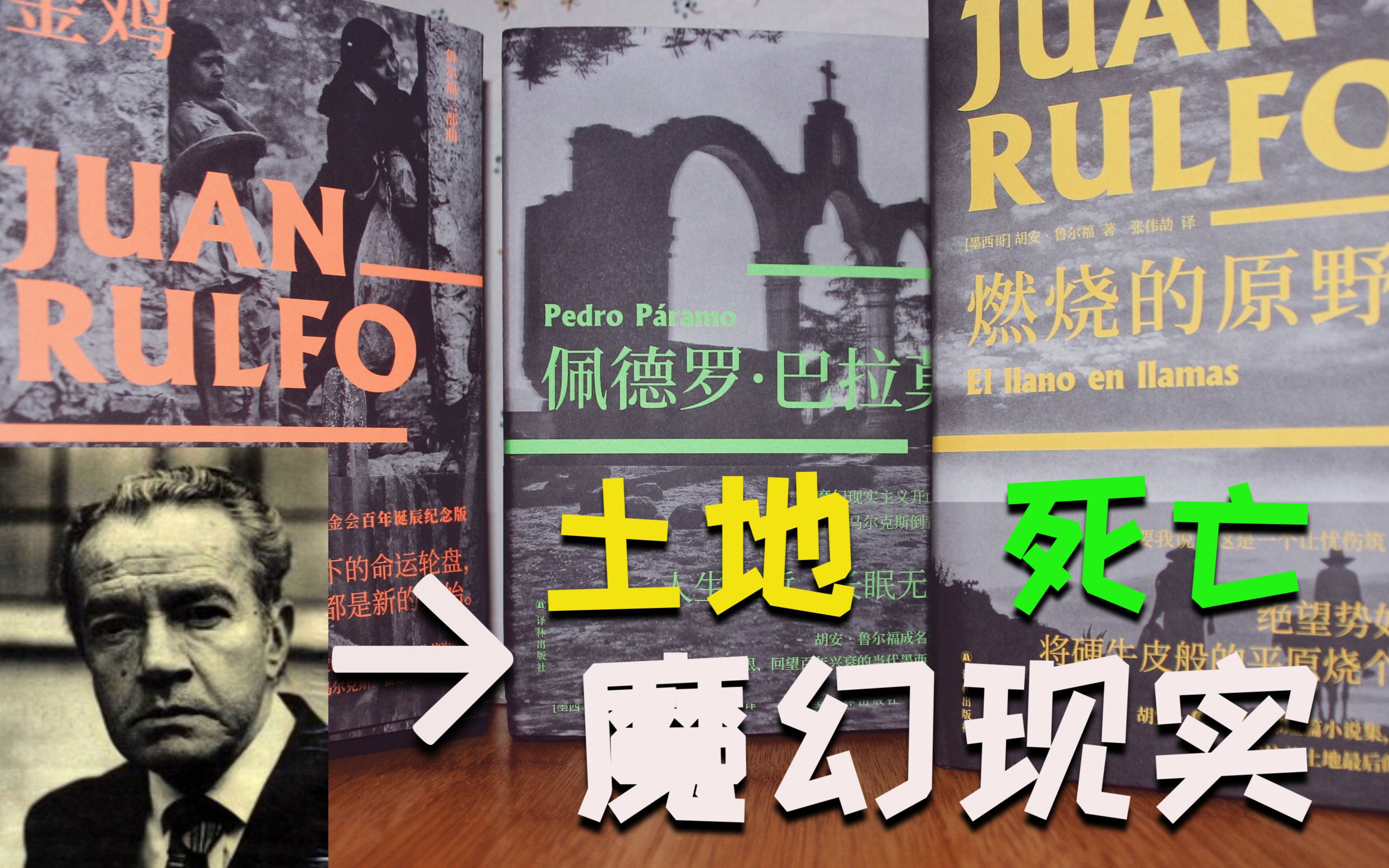 土地、死亡和魔幻现实 | 【鲁尔福】三部曲 ,我其实没太看懂,但我还是很喜欢哔哩哔哩bilibili