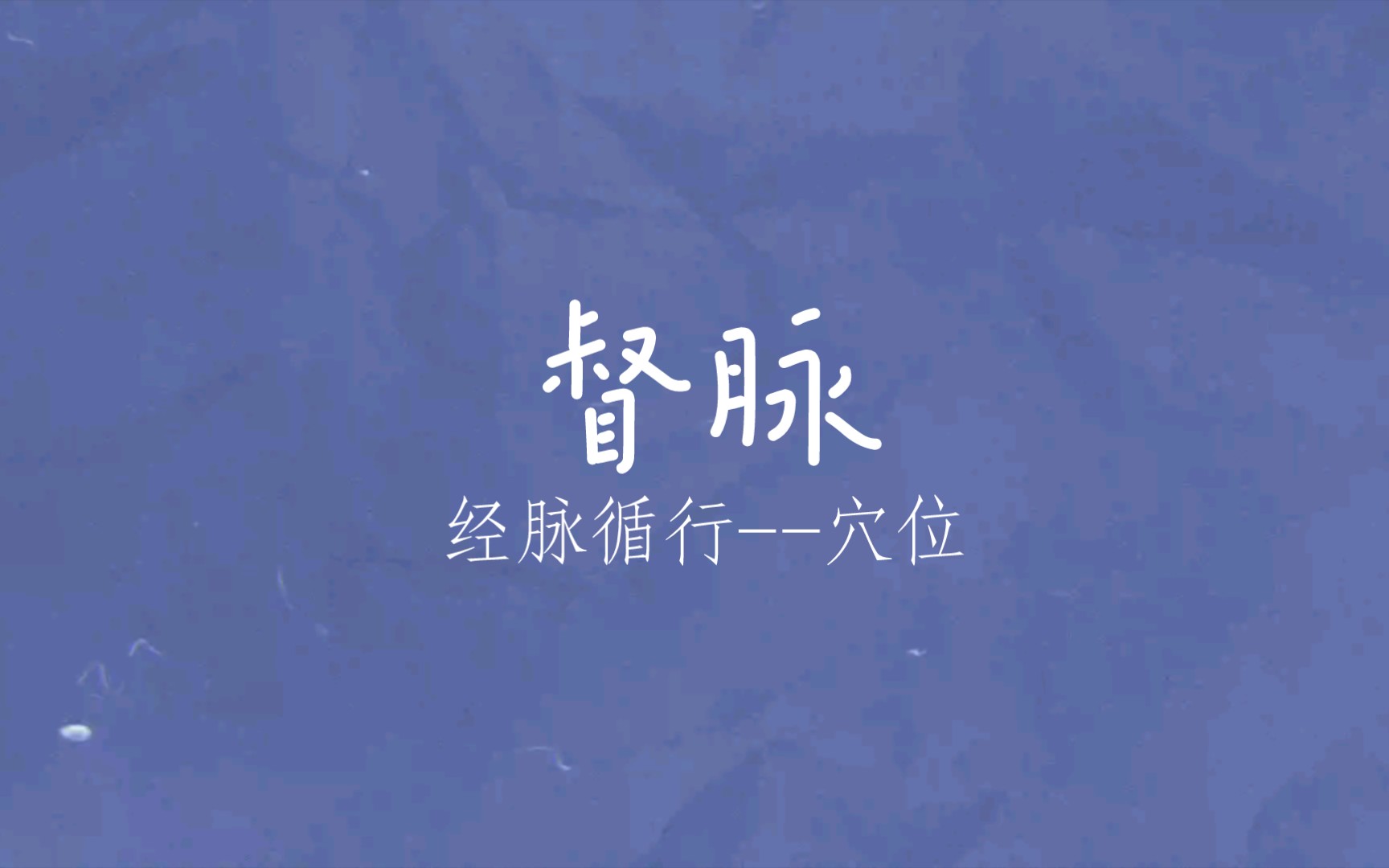 十四经脉督脉哔哩哔哩bilibili