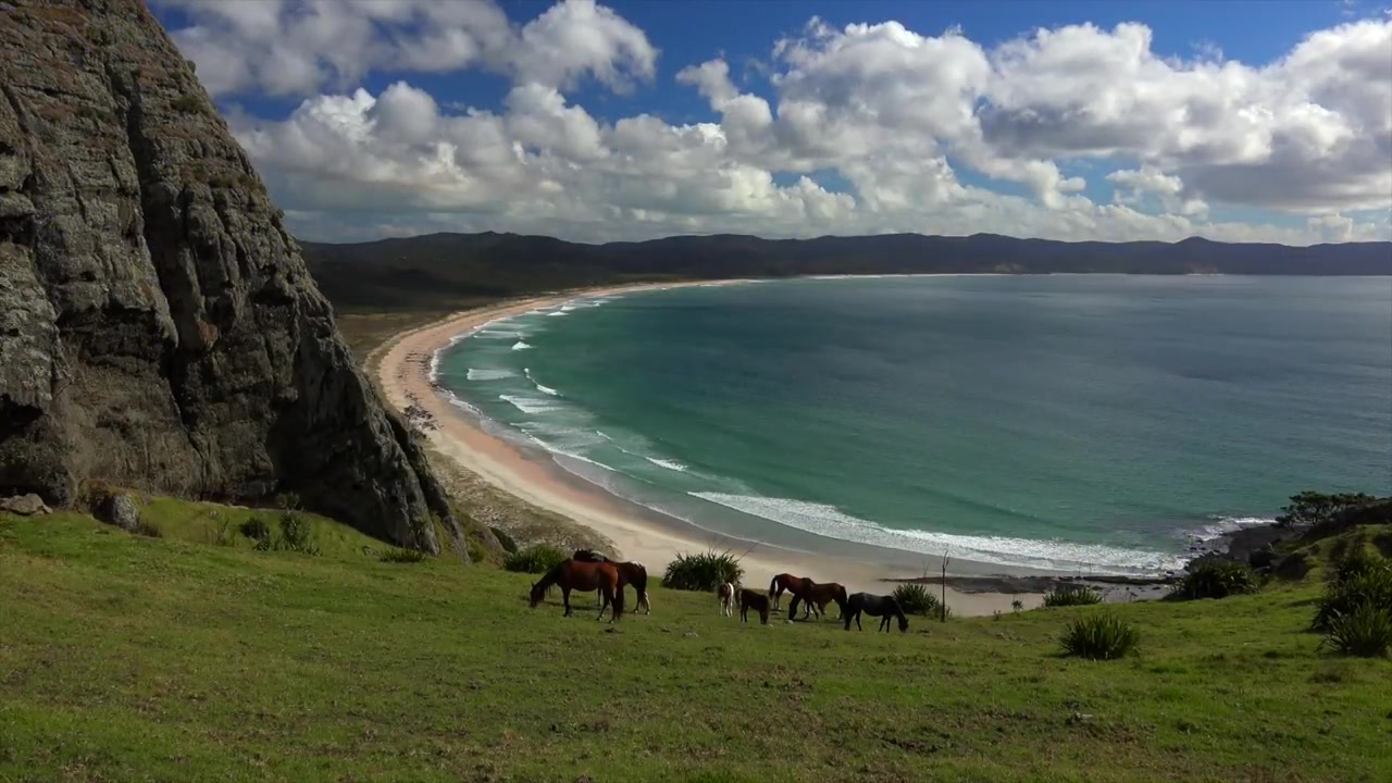 新西兰古代历史纪录片毛利原住民'The Redheads' New Zealand Ancient History Documentary哔哩哔哩bilibili