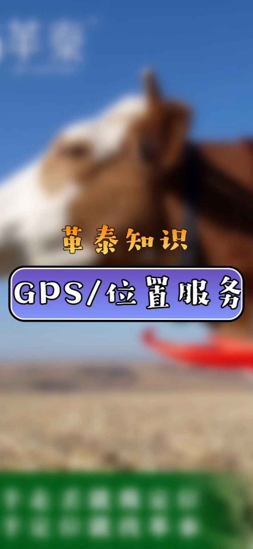 手机位置服务GPS哔哩哔哩bilibili