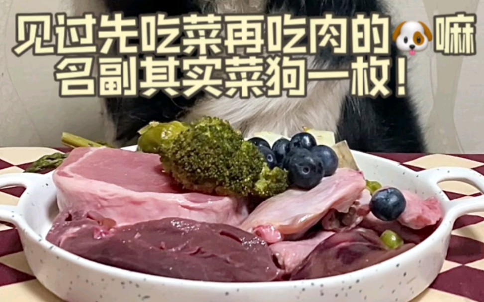 [图]边牧生骨肉|名副其实的菜狗就是菜和肉同时出现也要先吃菜！