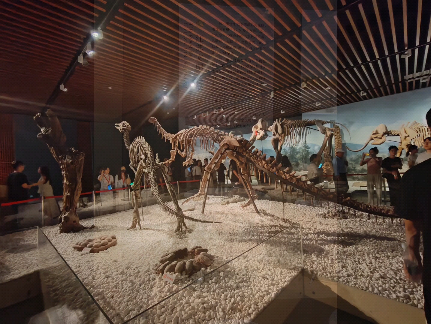 在南京博物院看文物