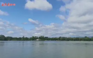 Скачать видео: 雨后圆明园荷花和蓝天白云打招呼