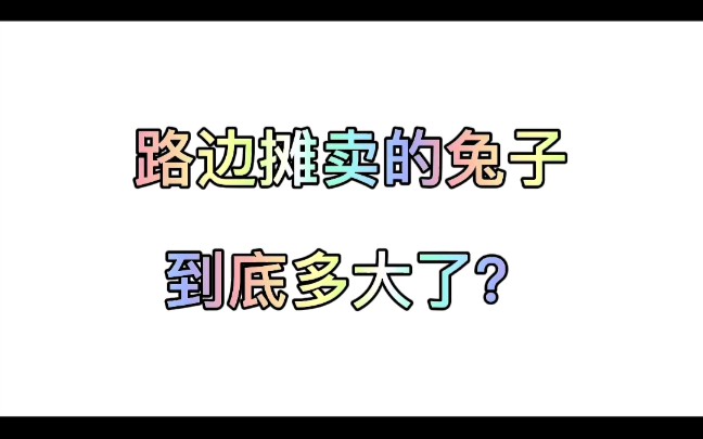 路边摊的兔子到底多大了?哔哩哔哩bilibili