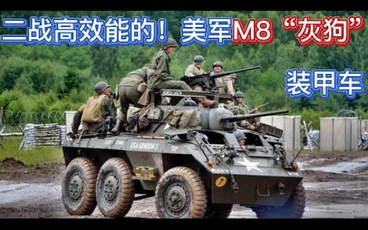 二战兵器 为何美军“M8灰狗”是一个高效能的多功能装甲车?哔哩哔哩bilibili