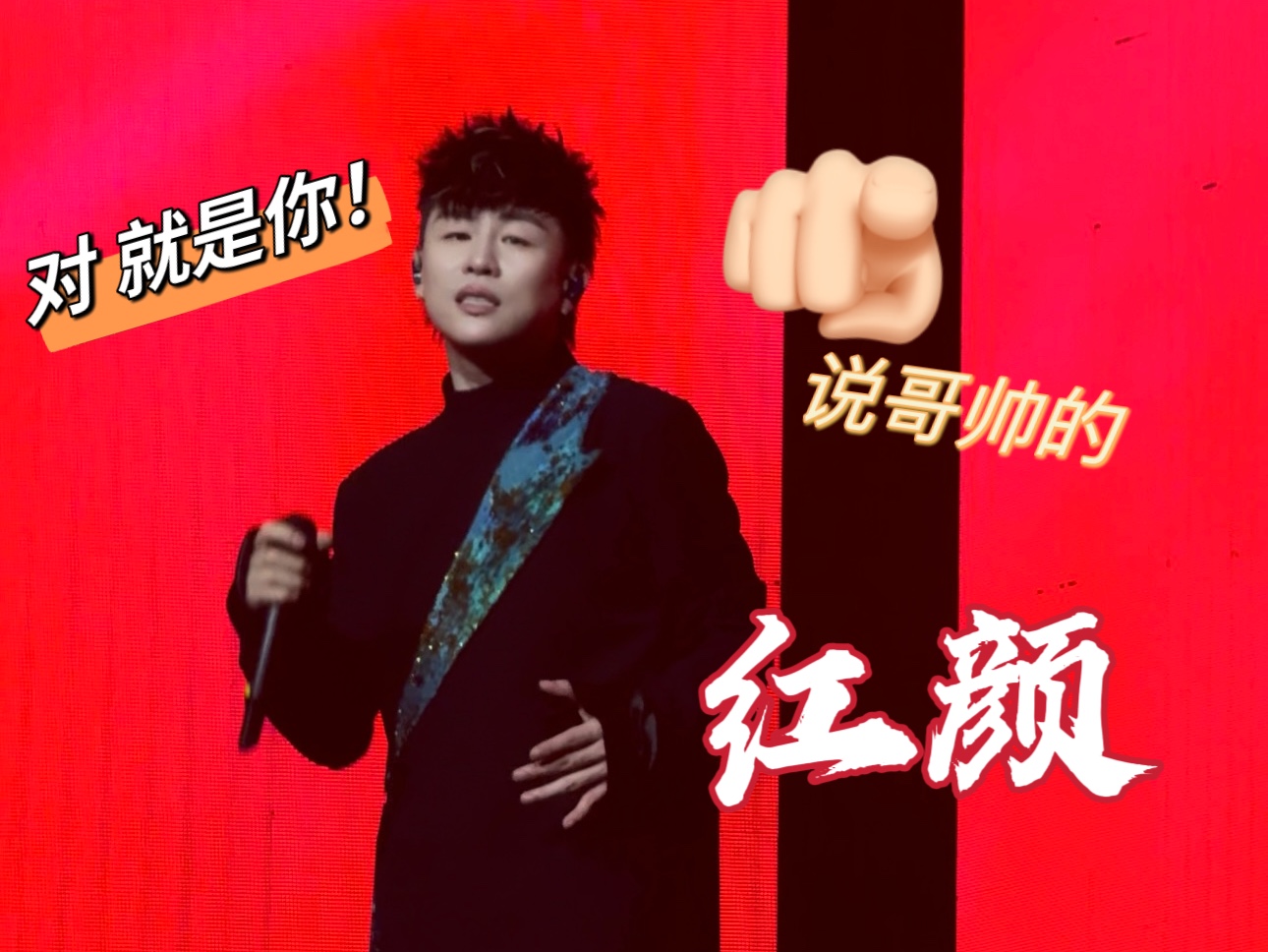 第一排超清胡彦斌南京站《红颜》这是什么神仙帅哥唱歌都这么强的啊