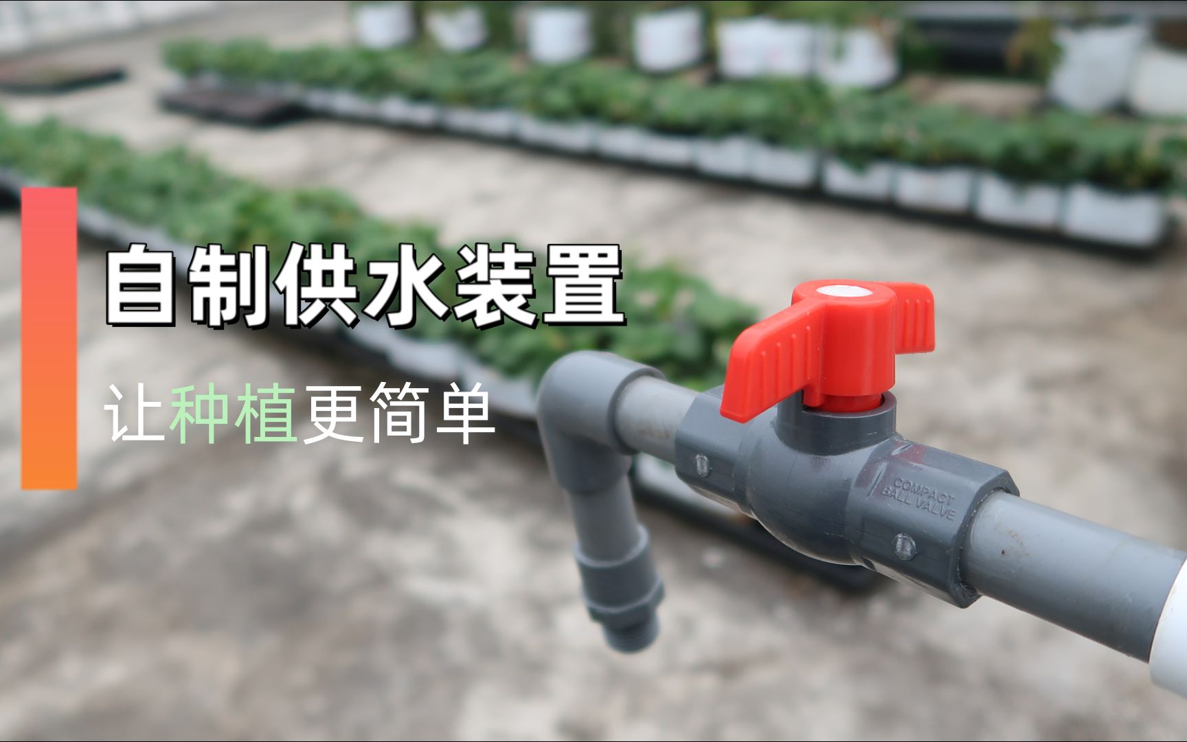 还在一桶一桶的提水?自制一个供水装置 以后浇水再也不用那么麻烦了