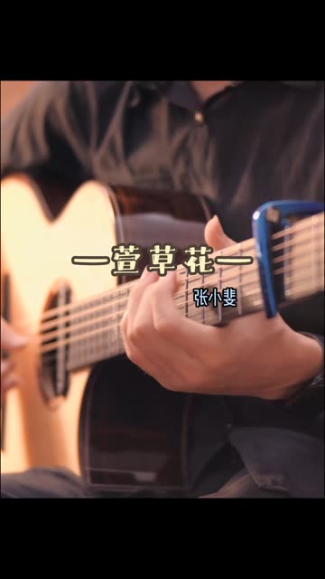 「指弹吉他」《萱草花》愿全天下的母亲平安健康且喜乐