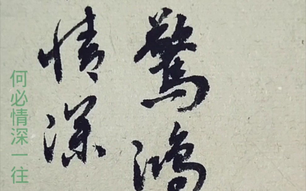 【手写】早知惊鸿一场(看字幕颜色猜我爱豆啦)