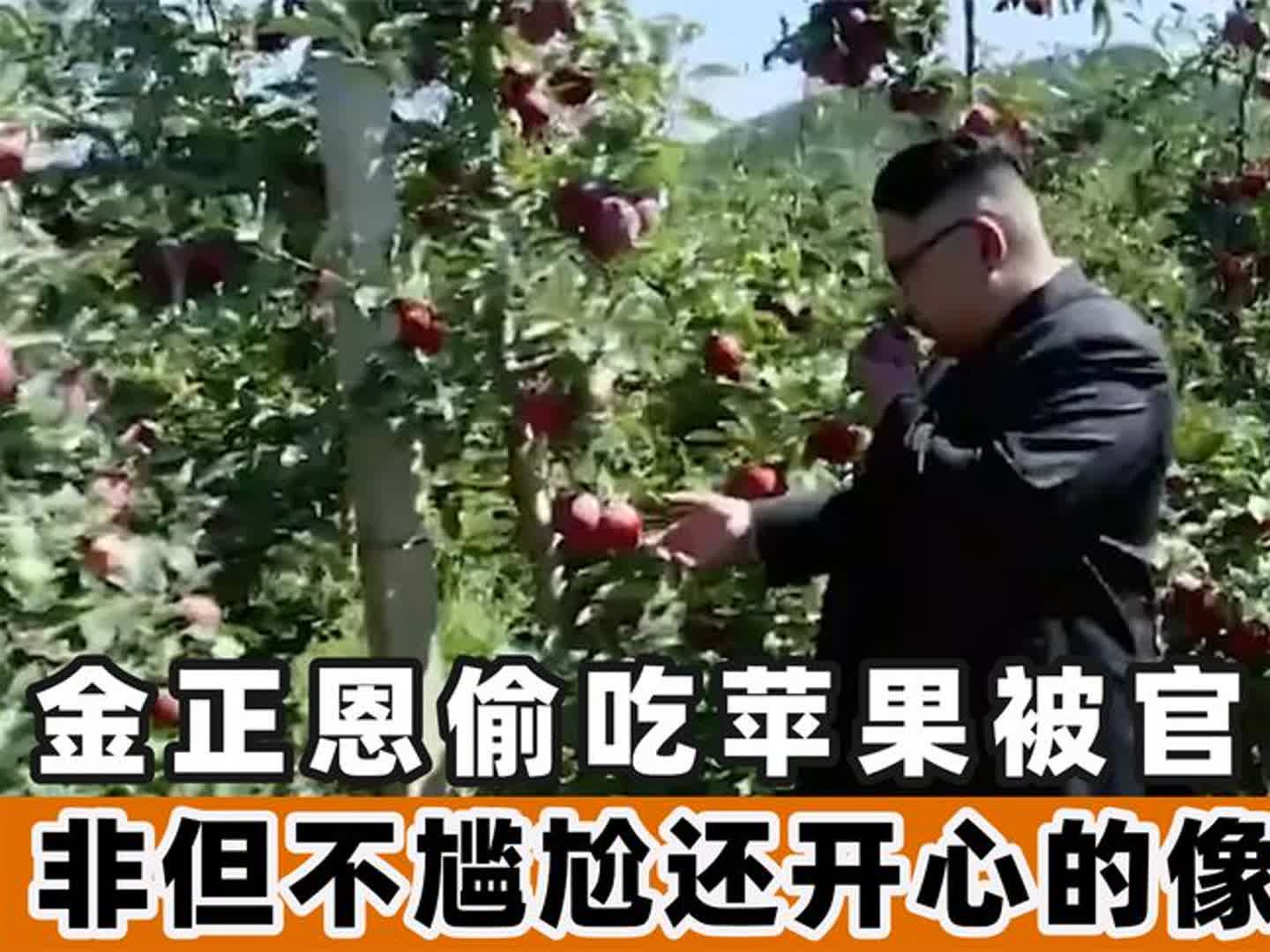 金正恩偷苹果吃,正要咬一口被官员叫住,非但不尴尬还笑的像孩子哔哩哔哩bilibili