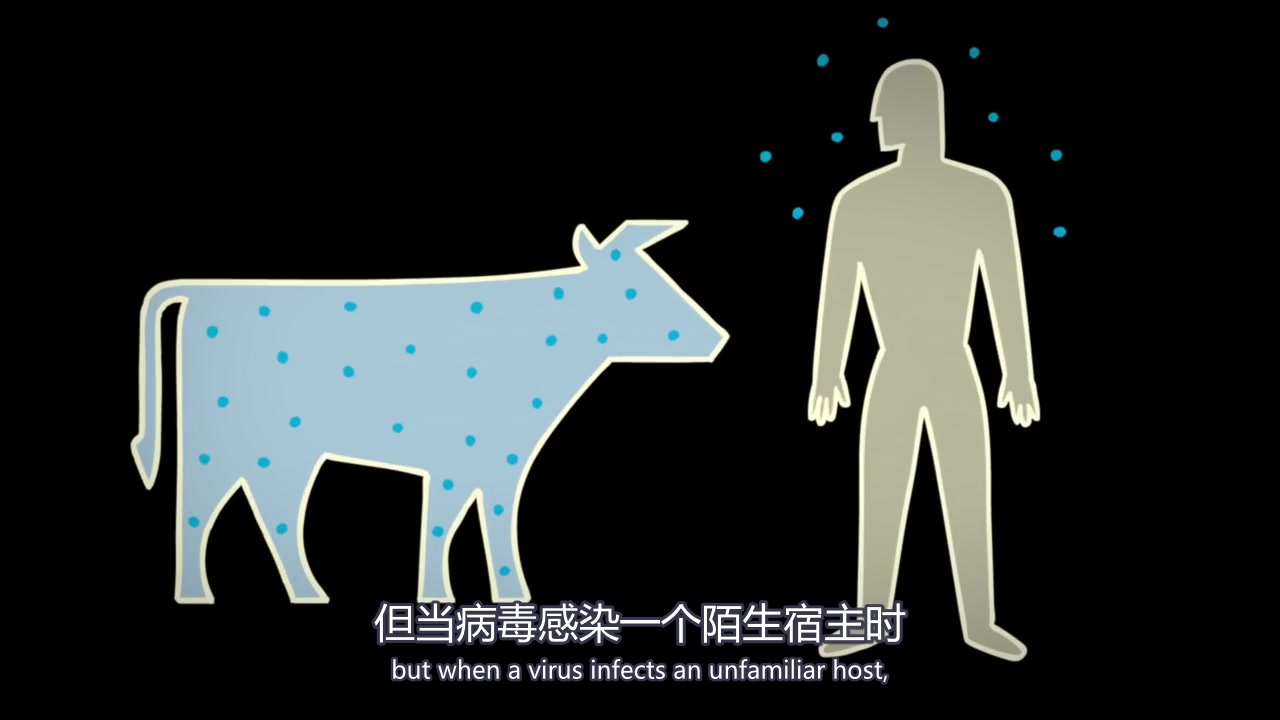 天花病毒的样子卡通图片