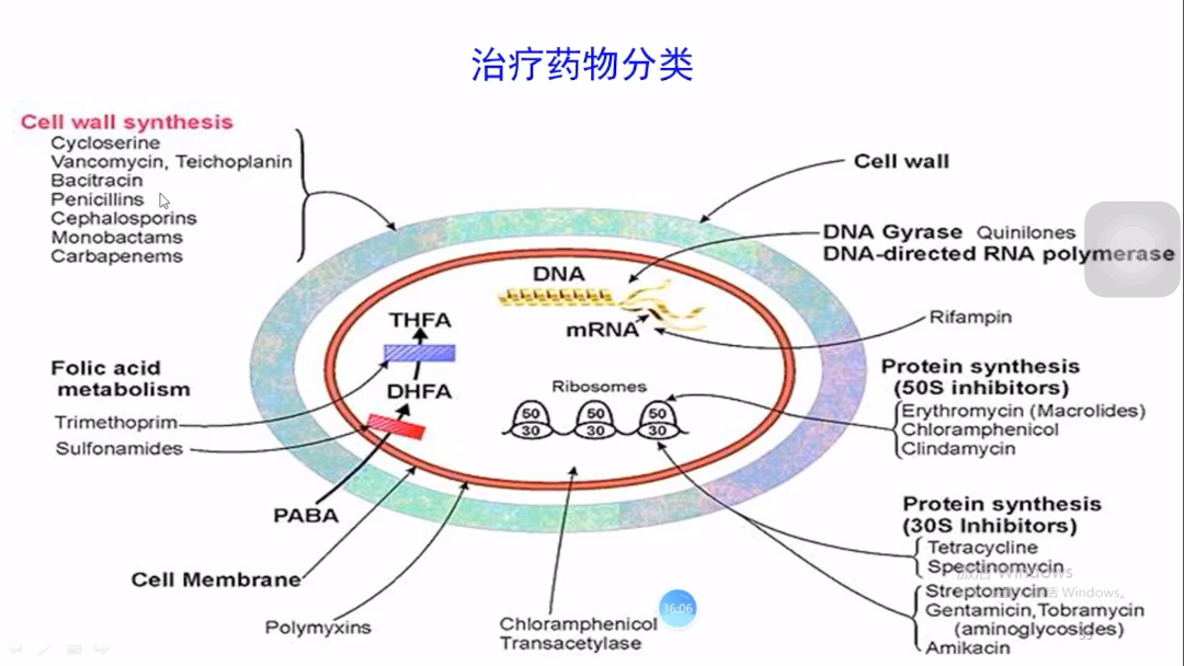 [图]17.呼吸系统用药处方审核思路2