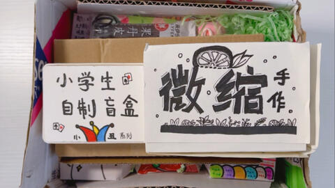拆一堆小学生自制盲盒 非常迷茫的体验 哔哩哔哩