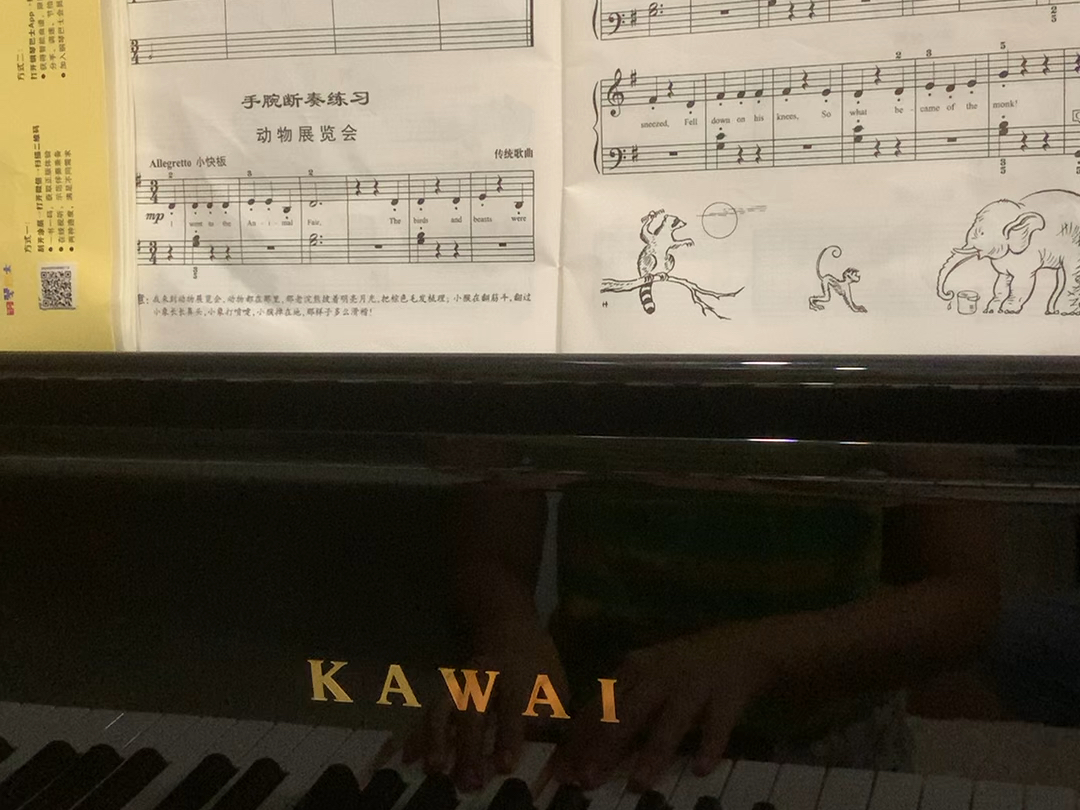 小汤3 手腕锻奏练习动物展览会,日常练琴琴