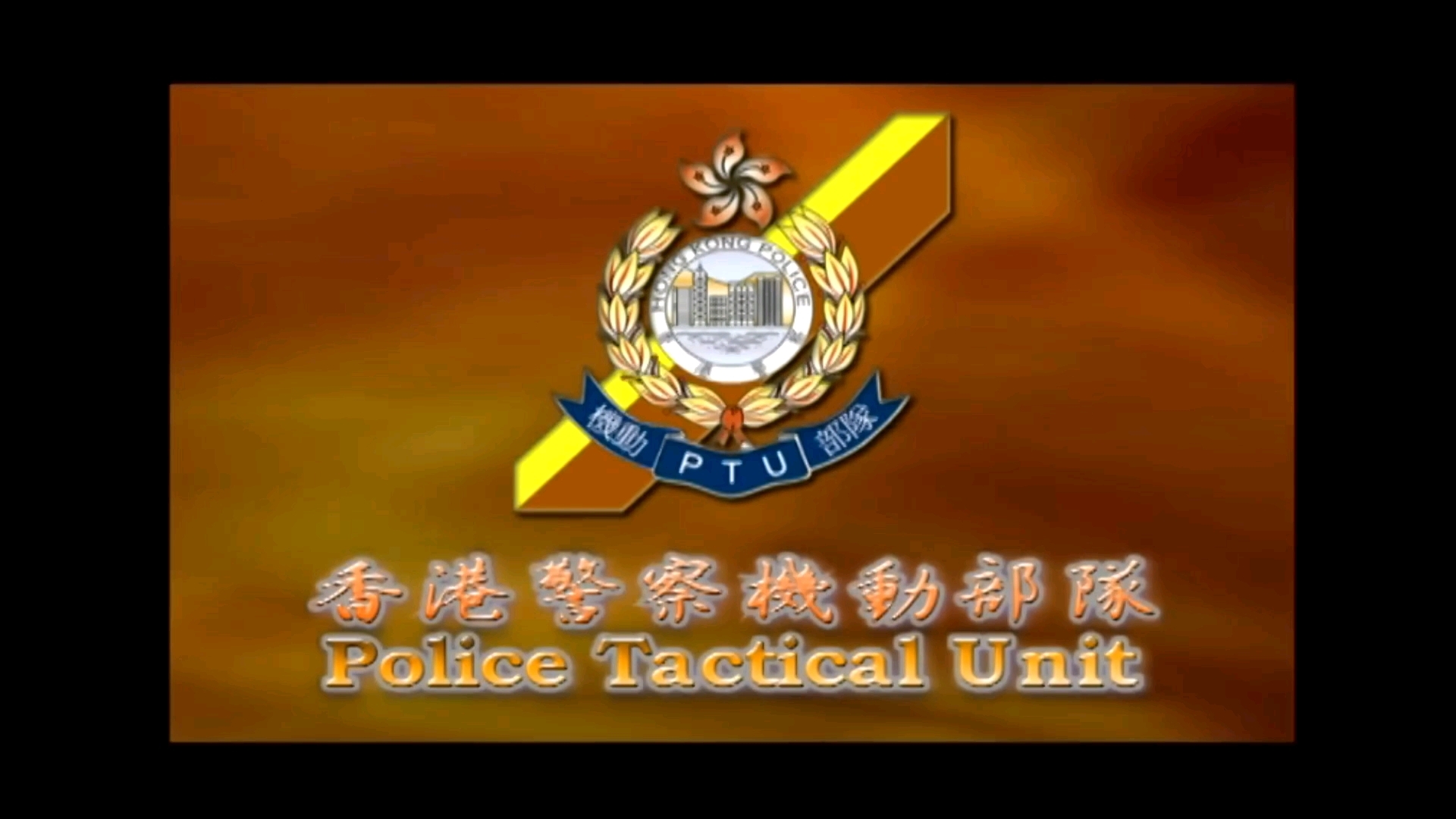 2014年香港警察机动部队(ptu)结业会操