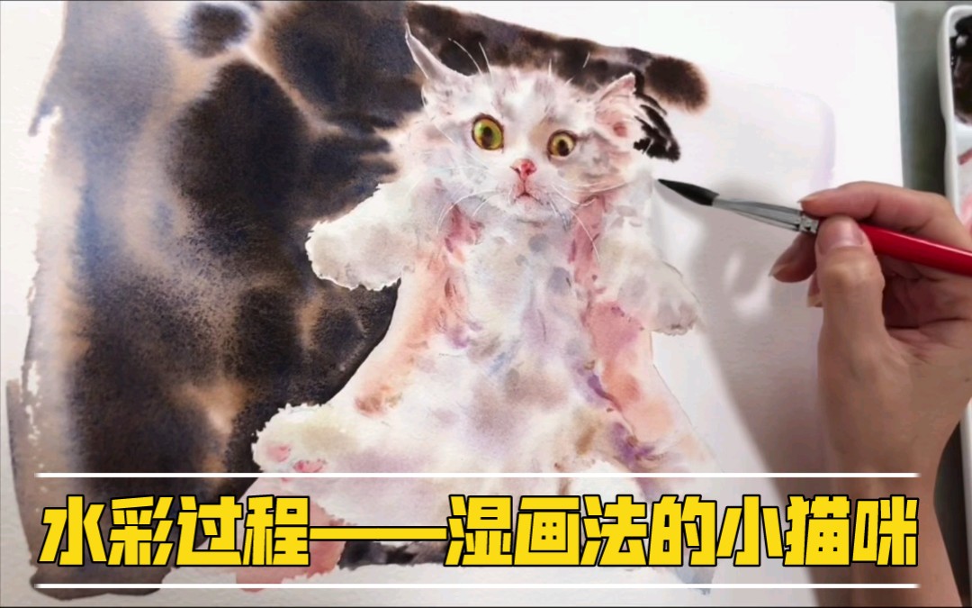 水彩——湿画法猫咪过程哔哩哔哩bilibili