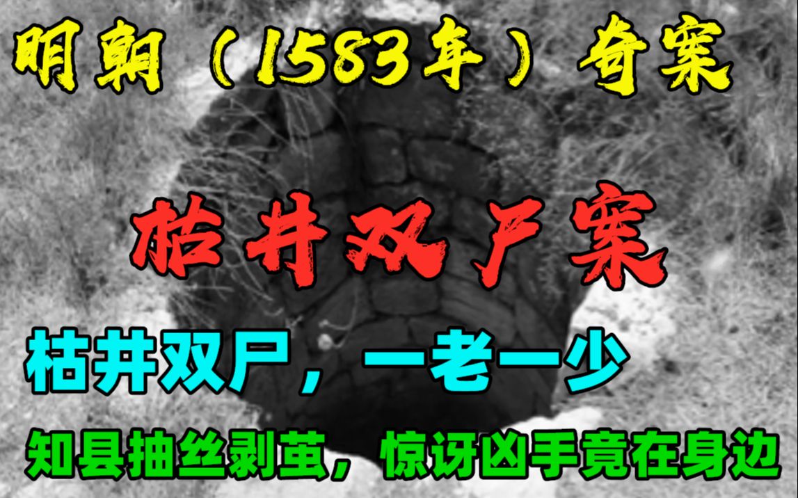 明朝(1583年)奇案:枯井双尸,一老一少,知县详查之下,惊讶凶手竟在身边哔哩哔哩bilibili