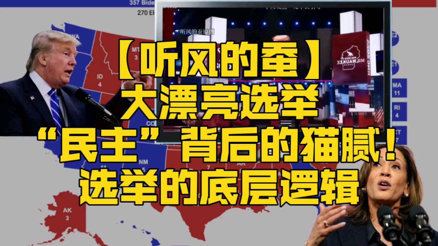 【听风的蚕】大漂亮选举,“民主”背后的猫腻!选举的底层逻辑哔哩哔哩bilibili