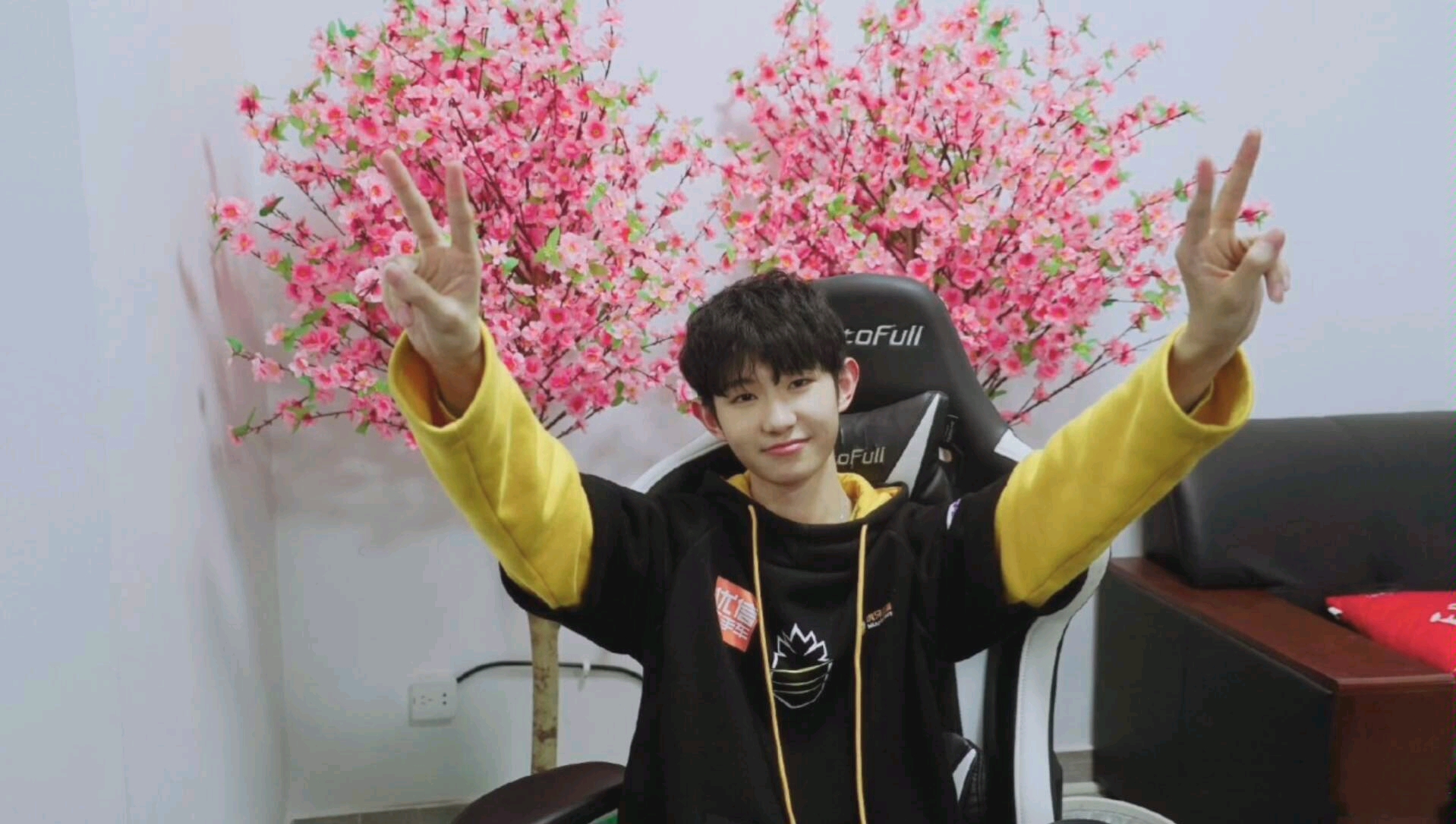 我好像违背了我看kpl的初衷/个人