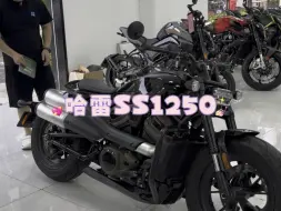 Download Video: 24年哈雷运动者Sportster S 哈雷SS1250 #哈雷SS1250 #哈雷sportster #哈雷sporters