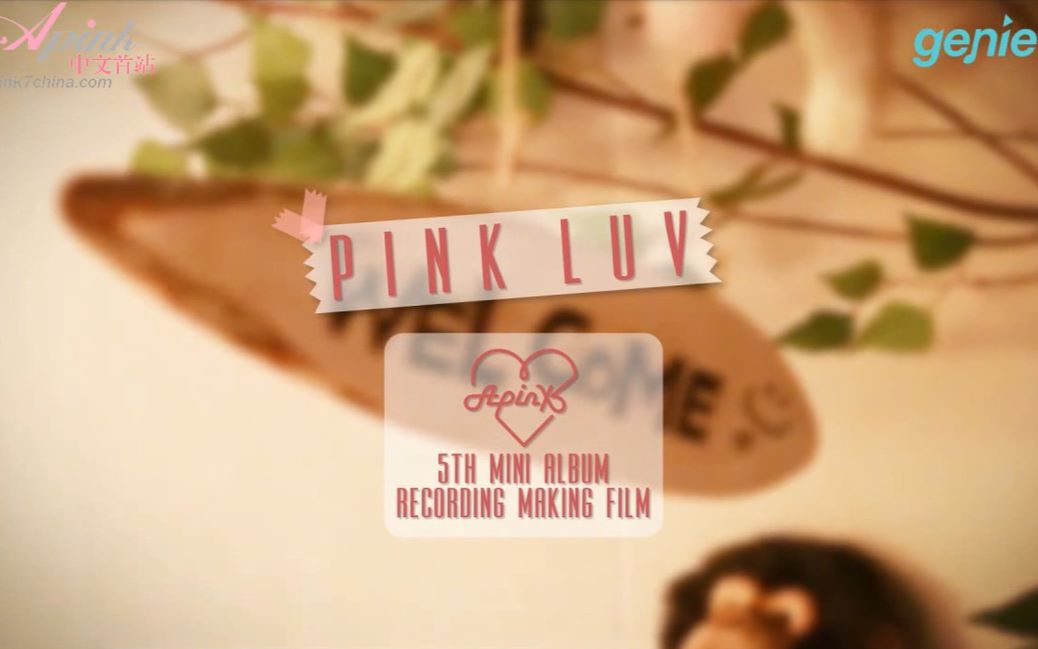 141124.APink 'Pink LUV'录音Making Film哔哩哔哩bilibili