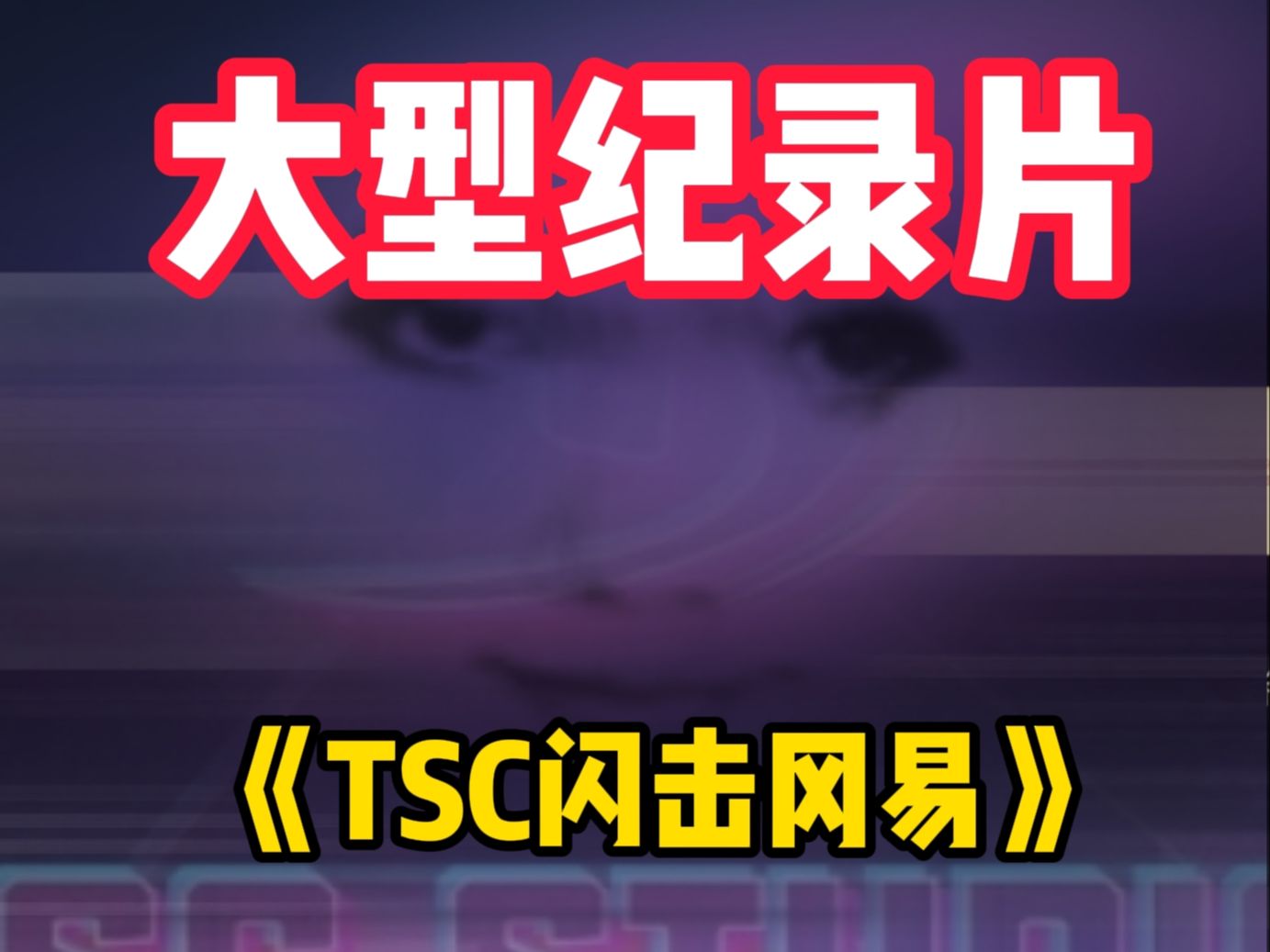 [图]大型纪录片《TSC闪击冈易》...