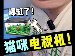 Tải video: 猫咪的鱼缸电视机，我这养的算成功么？