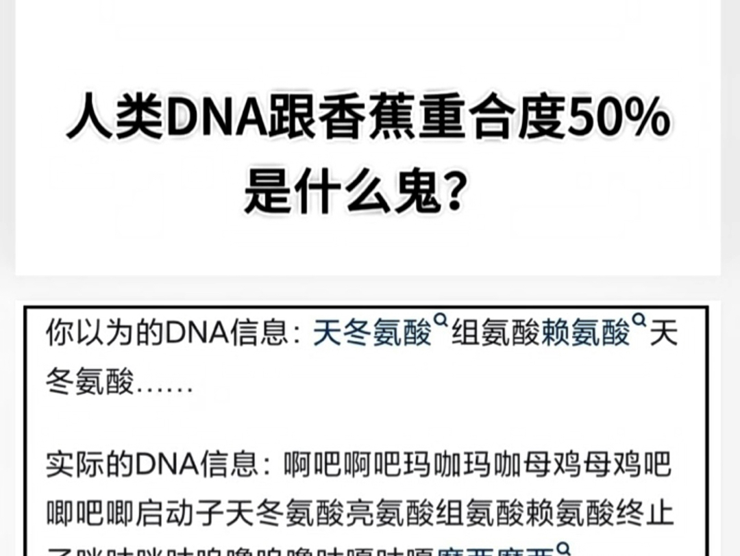 人类DNA跟香蕉重合度50%是个什么鬼?哔哩哔哩bilibili