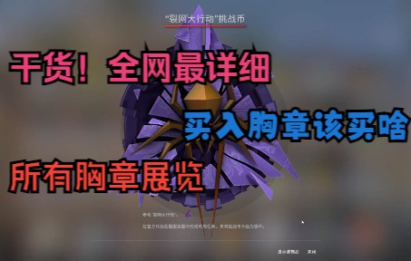 全网最详细のCSGO胸章买入教程和所有胸章展览:你学废了吗?CSGO教学