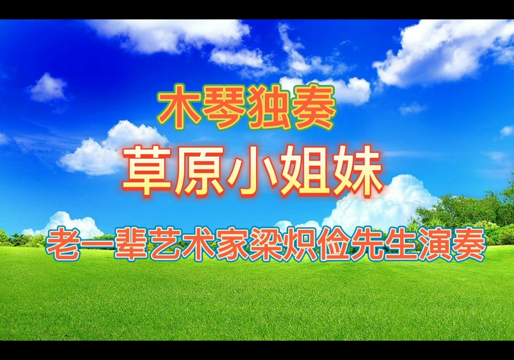 木琴独奏:草原小姐妹哔哩哔哩bilibili