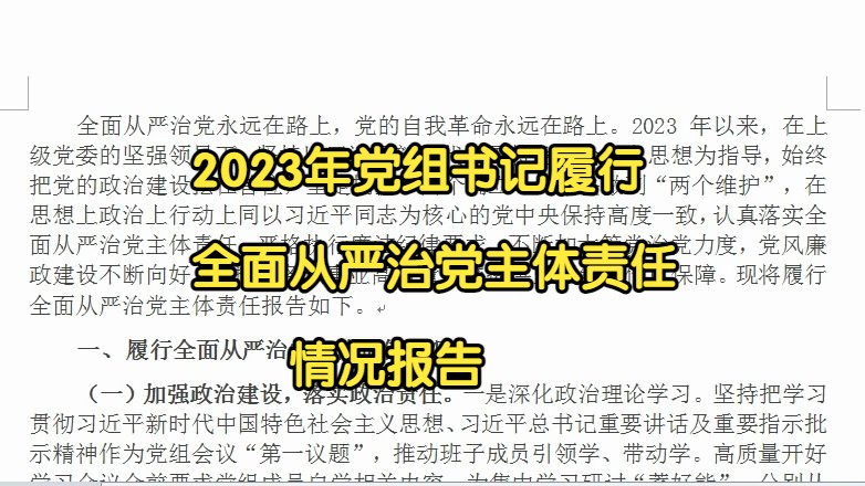 2023年党组书记履行全面从严治党主体责任情况报告哔哩哔哩bilibili