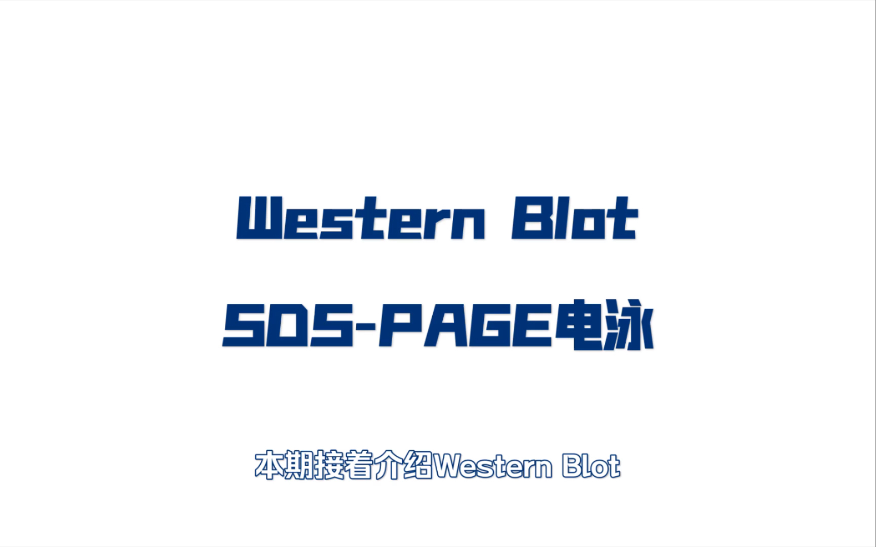 手把手教你做实验Western Blot(SDSPAGE)哔哩哔哩bilibili