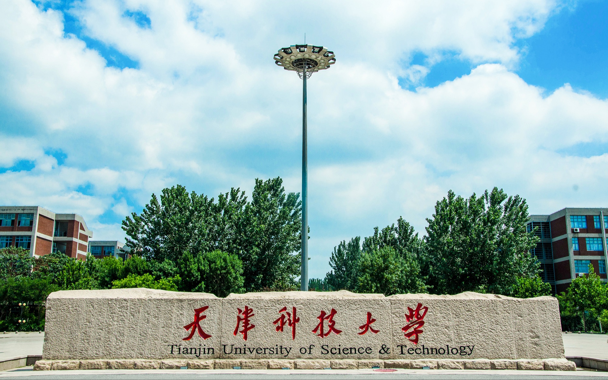 天津科技大学2019年图片