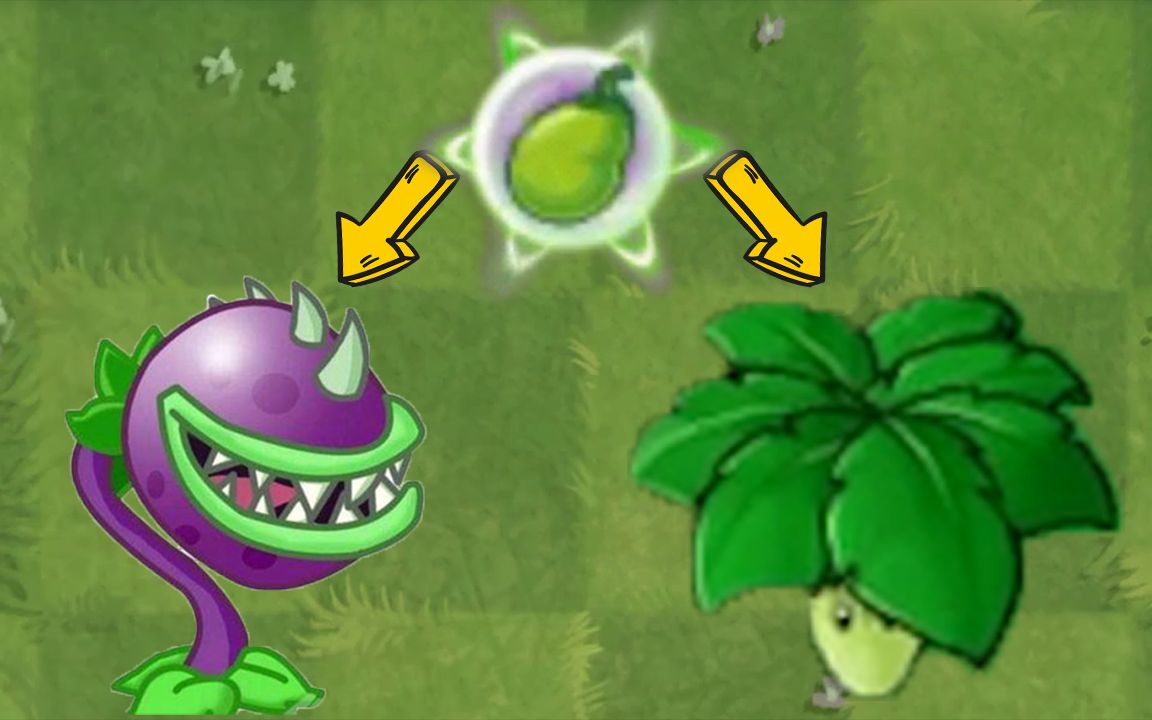 植物大战僵尸:pvz一代的植物吃了能量豆会发生什么?